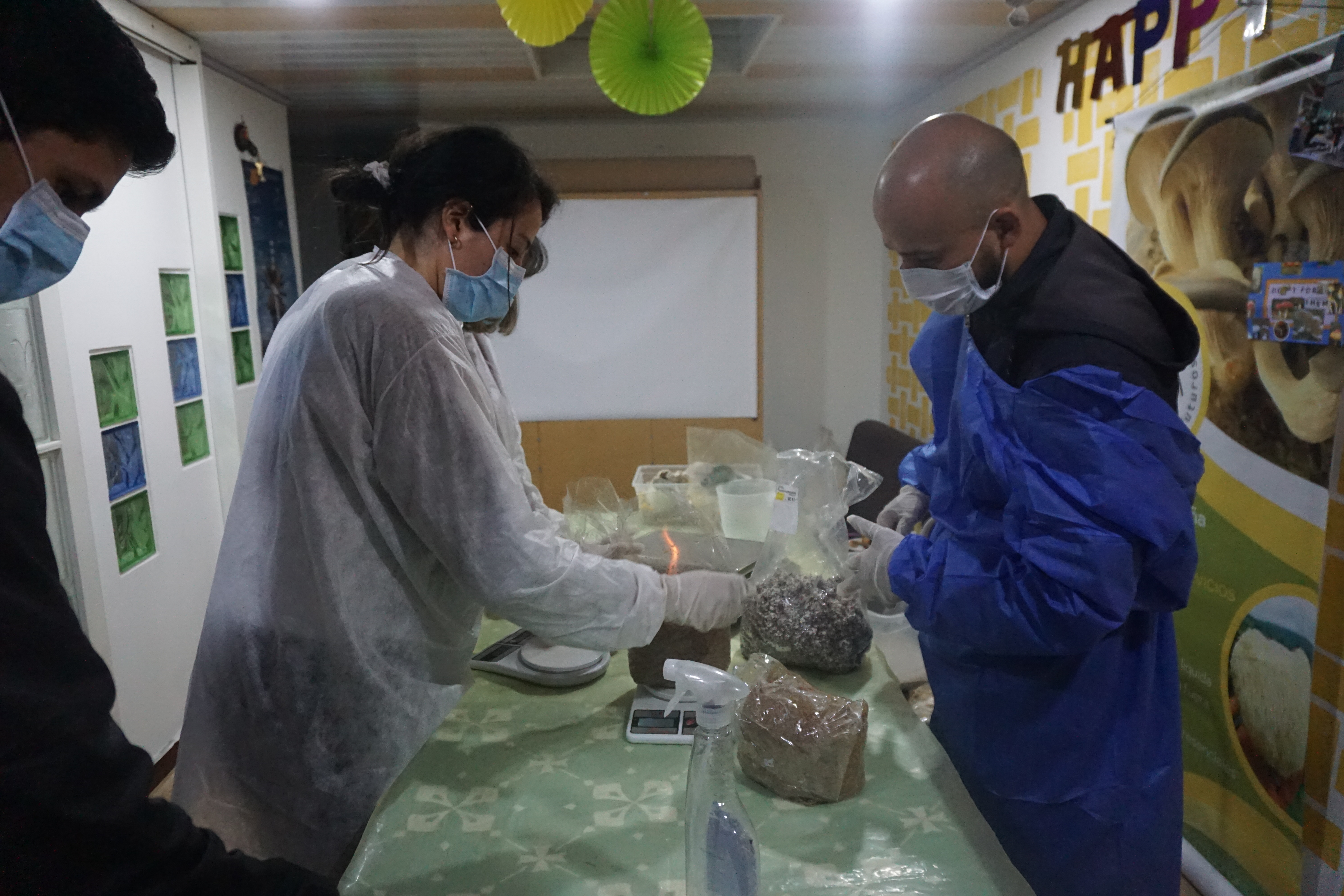01_manos_DSC06130.JPG