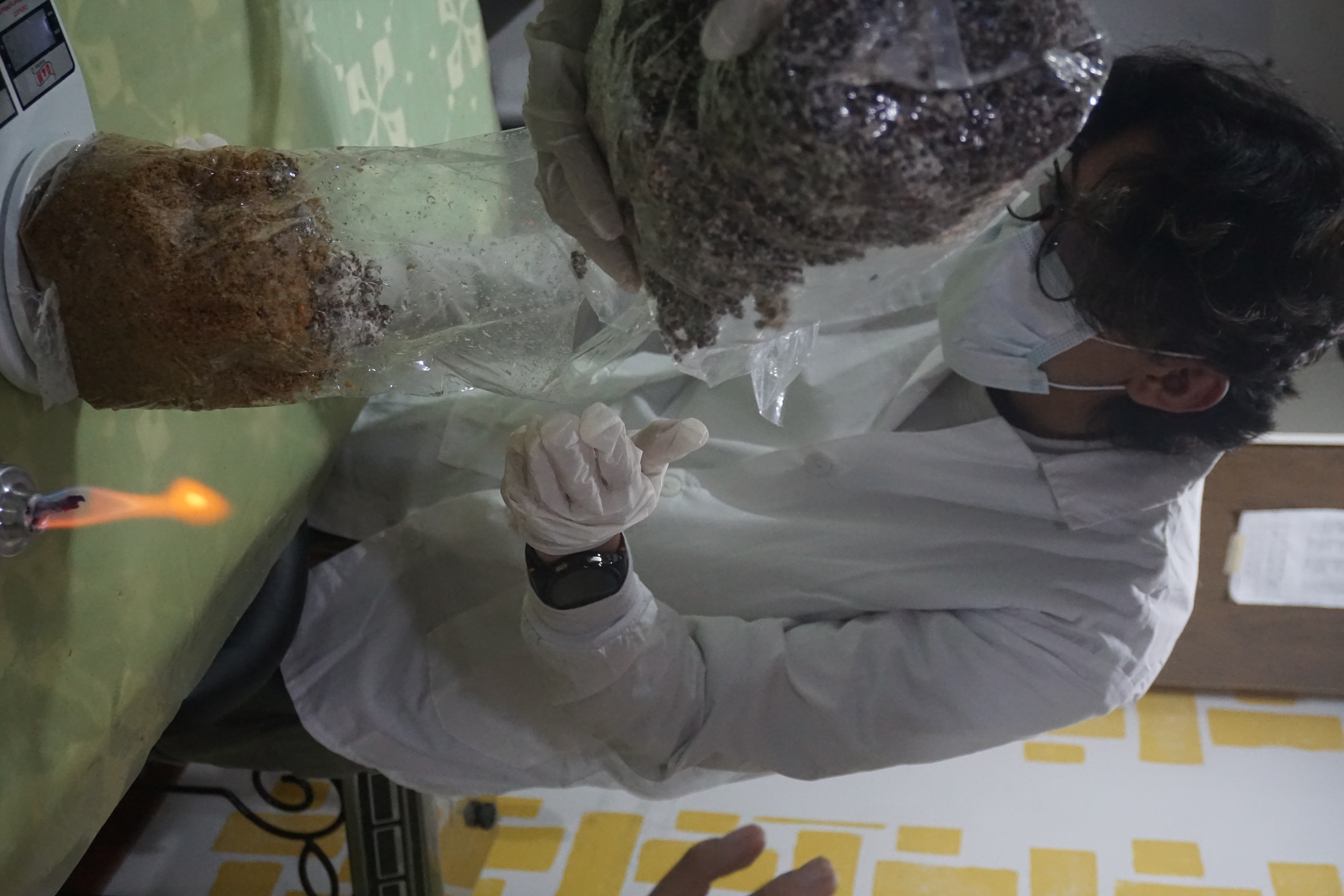 02_inoculacion_DSC06165.JPG