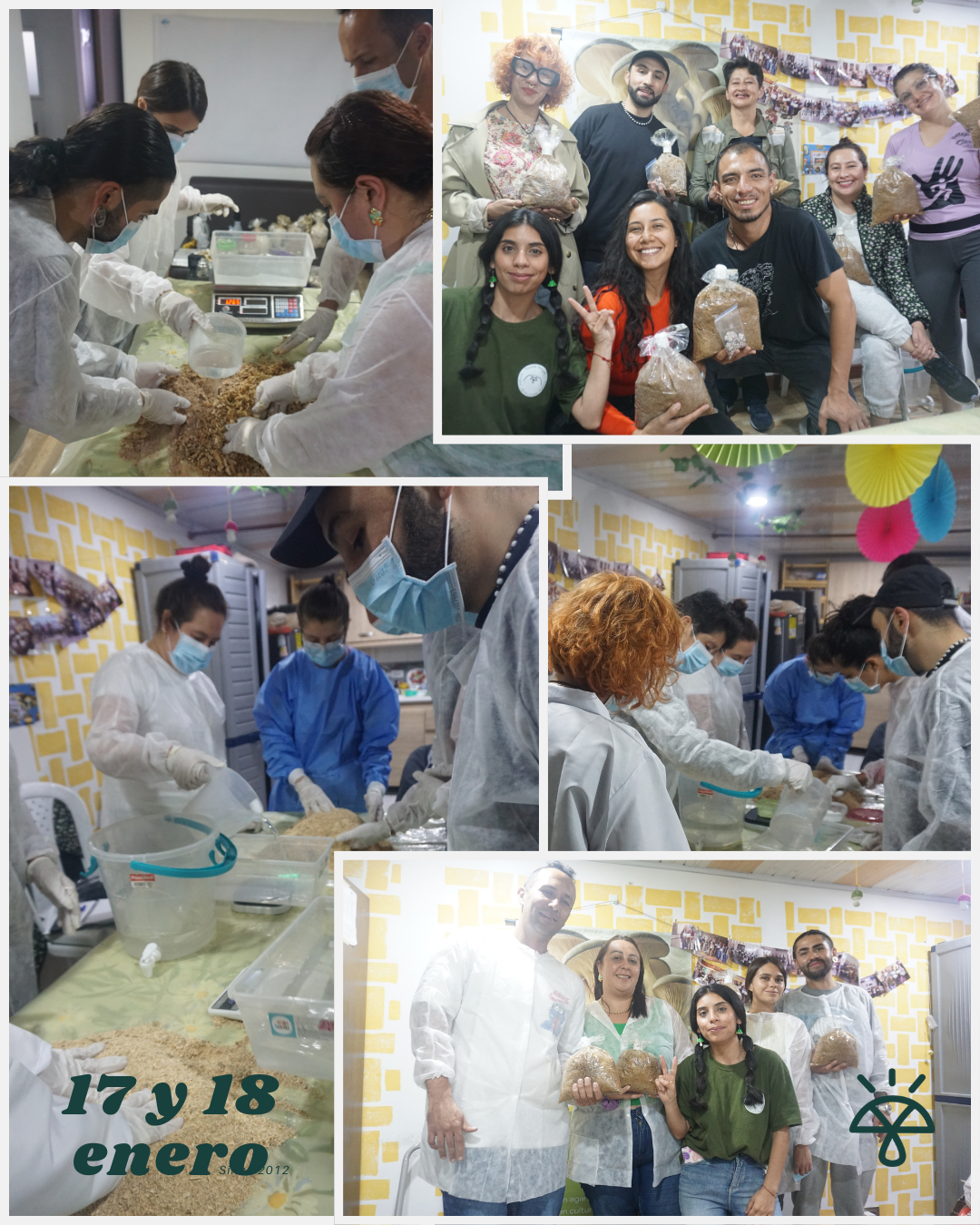 Taller Intensivo de Cultivo de Orellanas y Shiitake (Presencial) | Junio 2