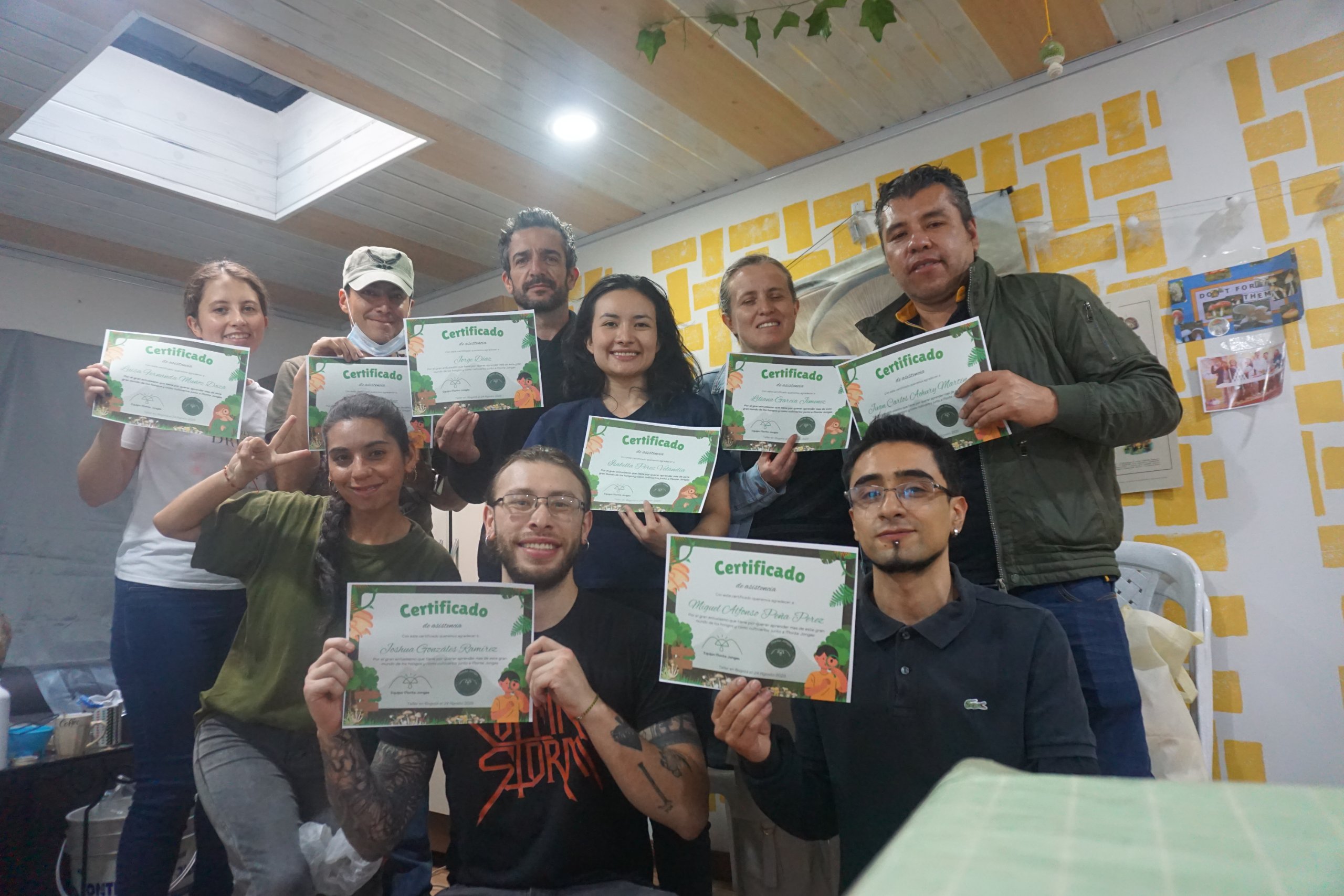 Aprende a cultivar hongos en grupo