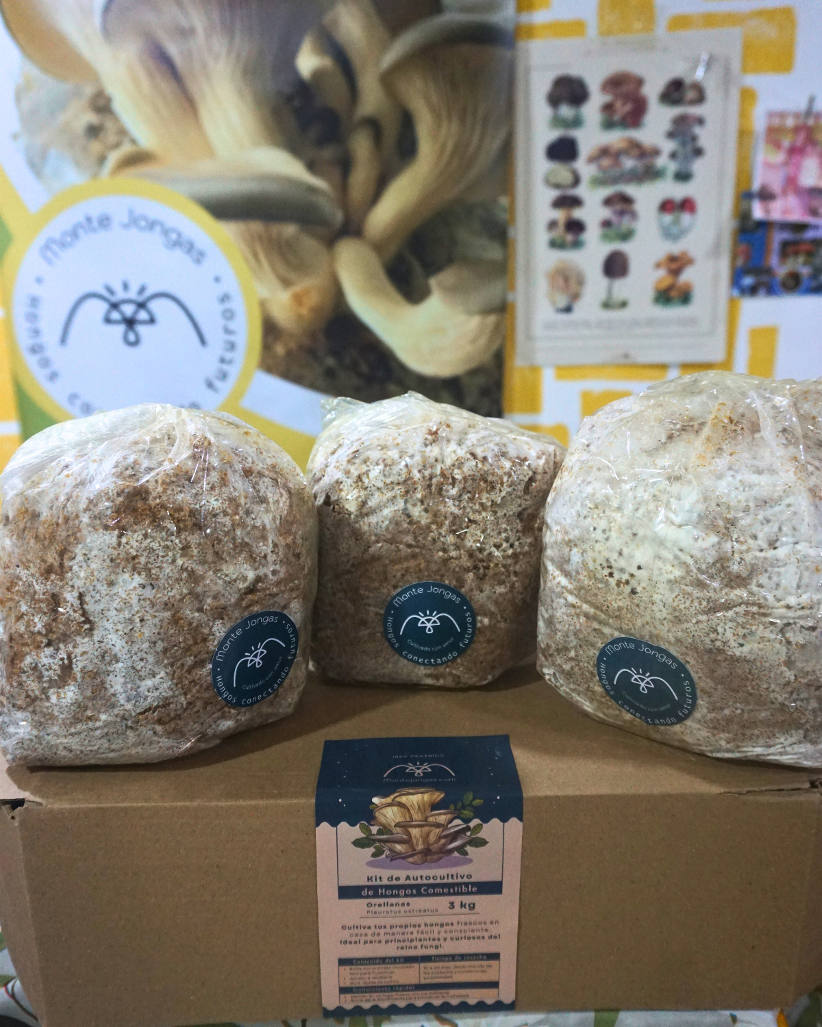 Promo 3 bolsas autocultivo Orellana (1 kg c/u) 2