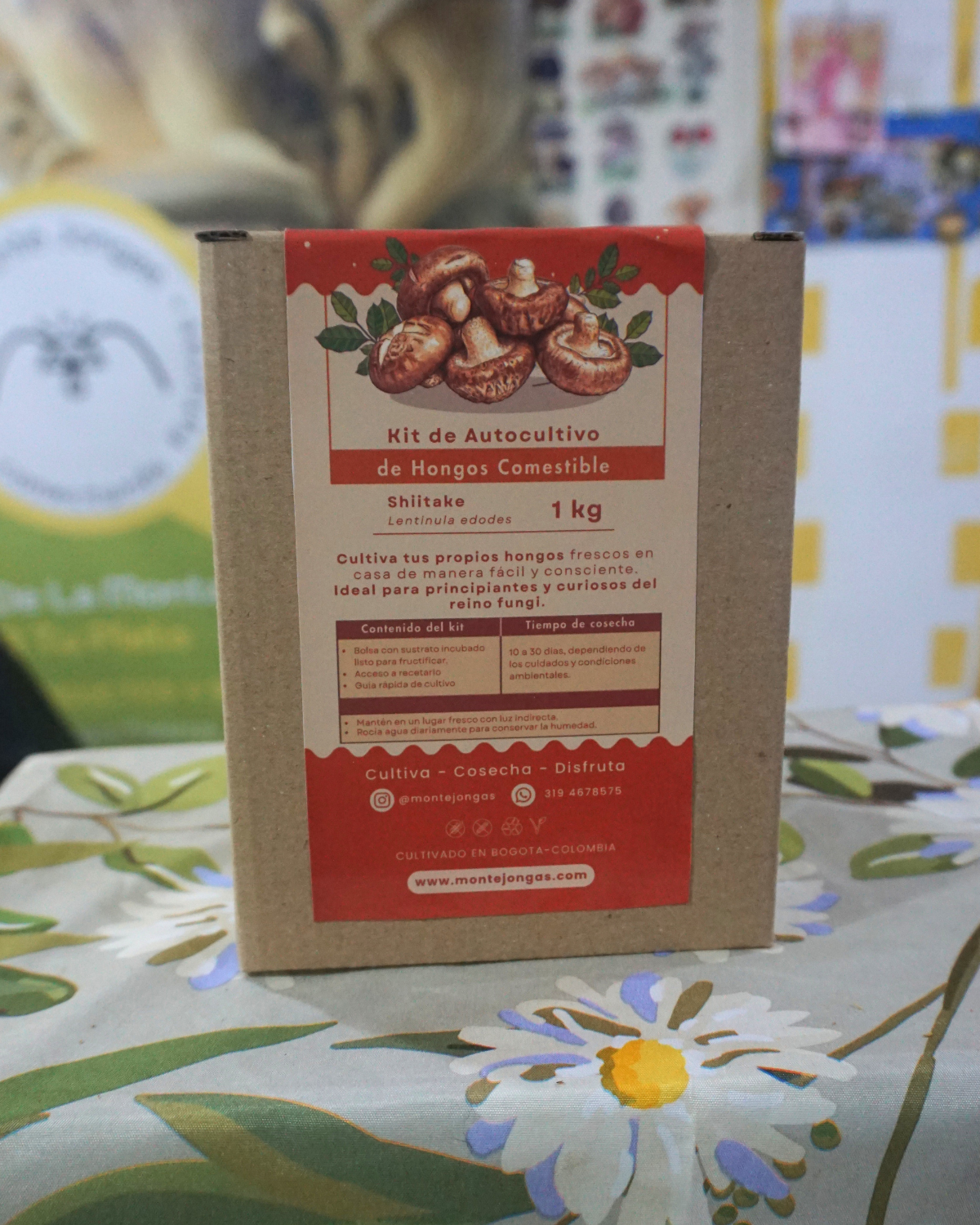 Bolsa de autocultivo shiitake (1Kg) 3