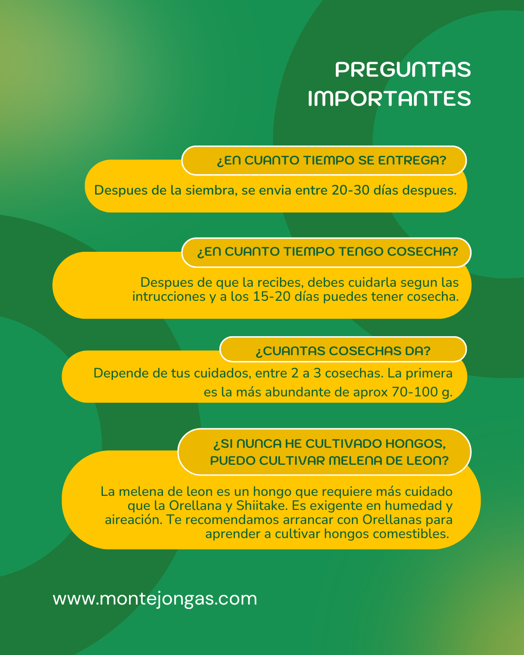 Bolsa de autocultivo melena de leon 1 kg - Preventa 5