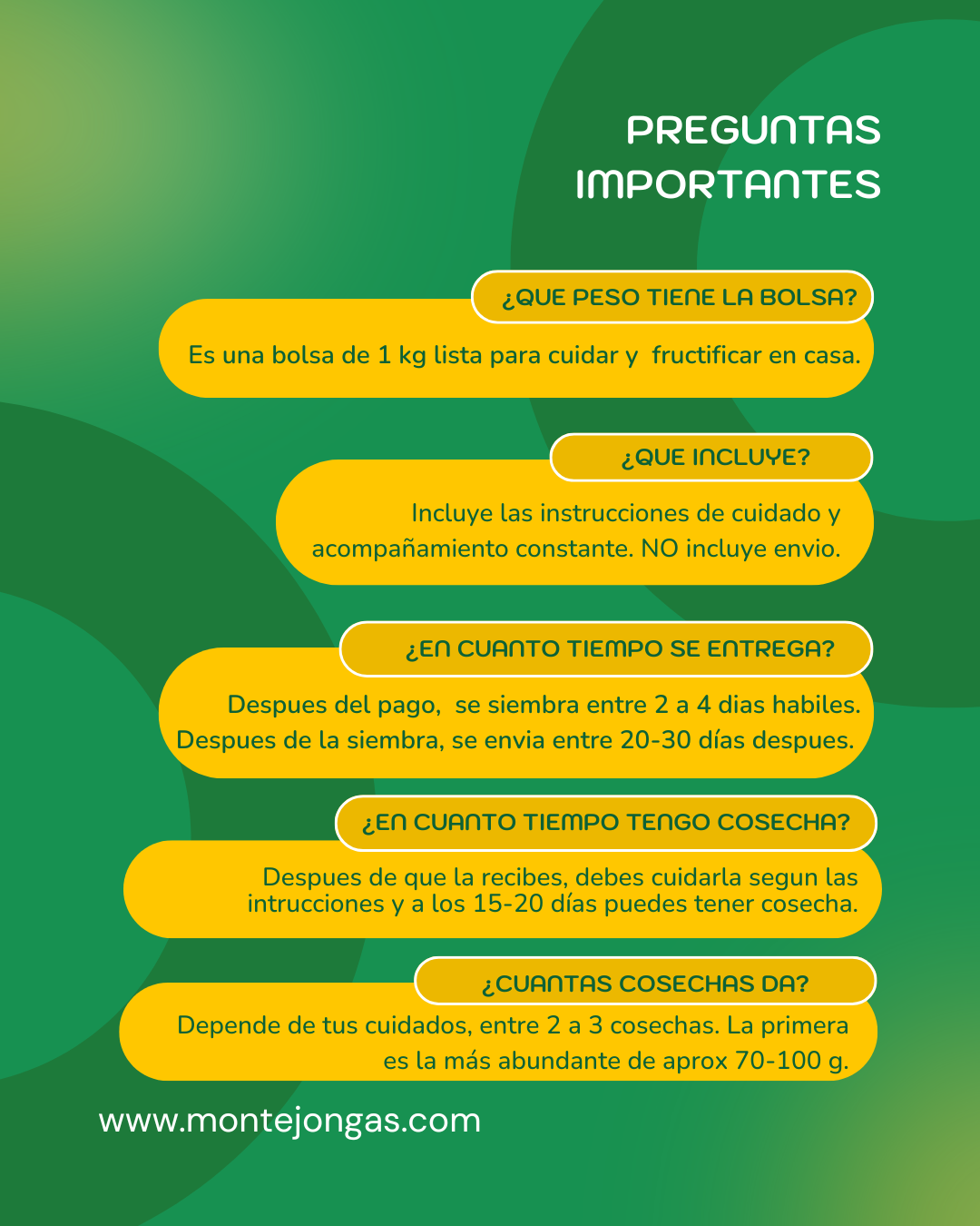 Bolsa de autocultivo Orellana (1kg) | Por encargo 2