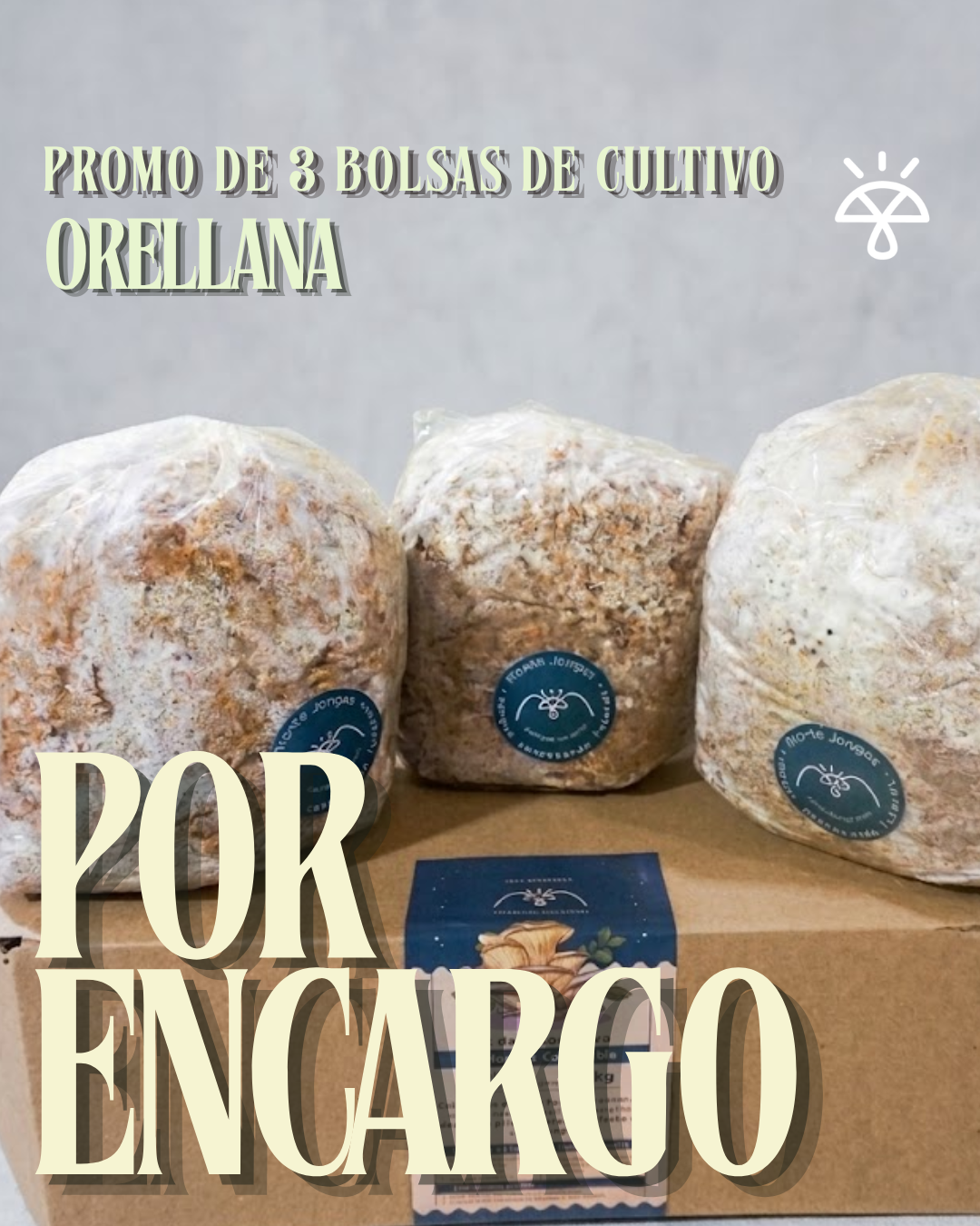 Promo 3 bolsas autocultivo Orellana (1 kg c/u) | Por encargo